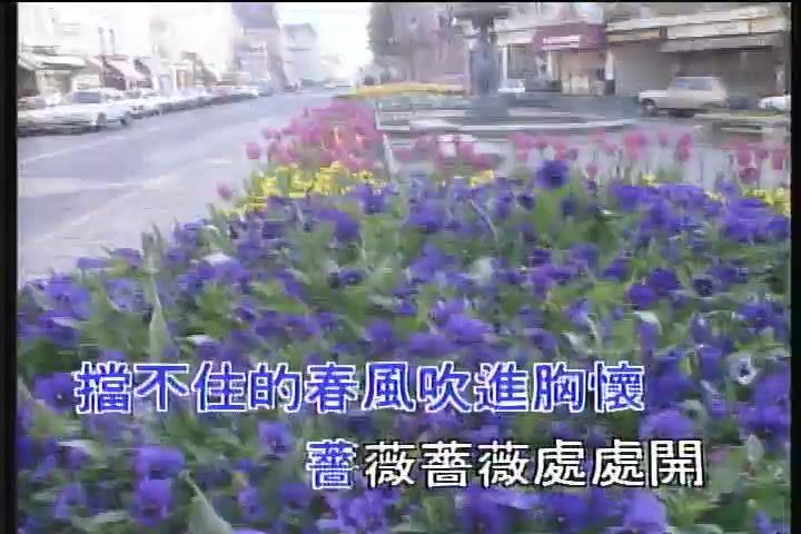【经典MV老歌】重温往事回忆11首(204.16M)