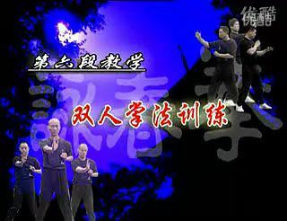 咏春拳(5.25G)