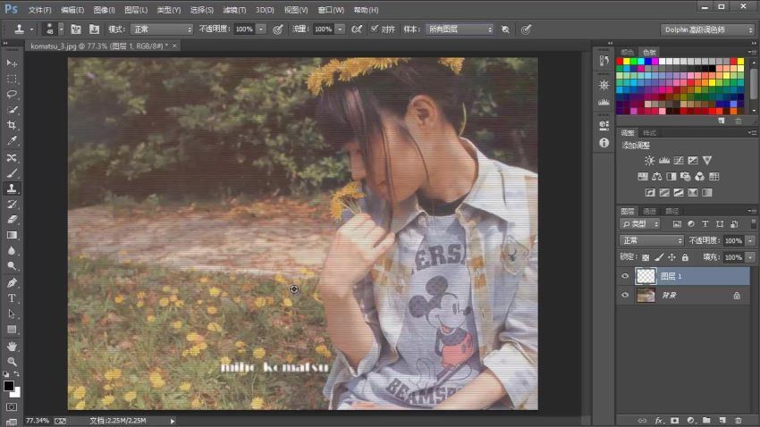 Photoshop CC 教程(4.83G)