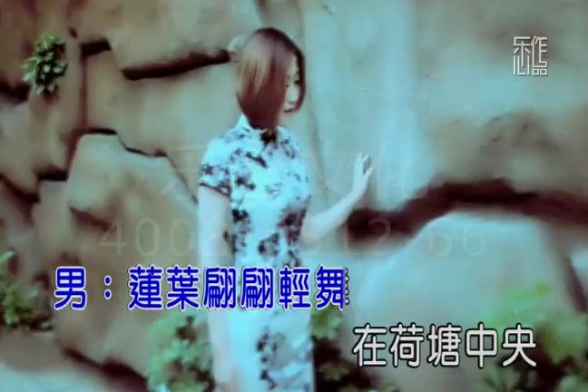 云菲菲 音乐MP3合集，视频打包下载(8.28G)