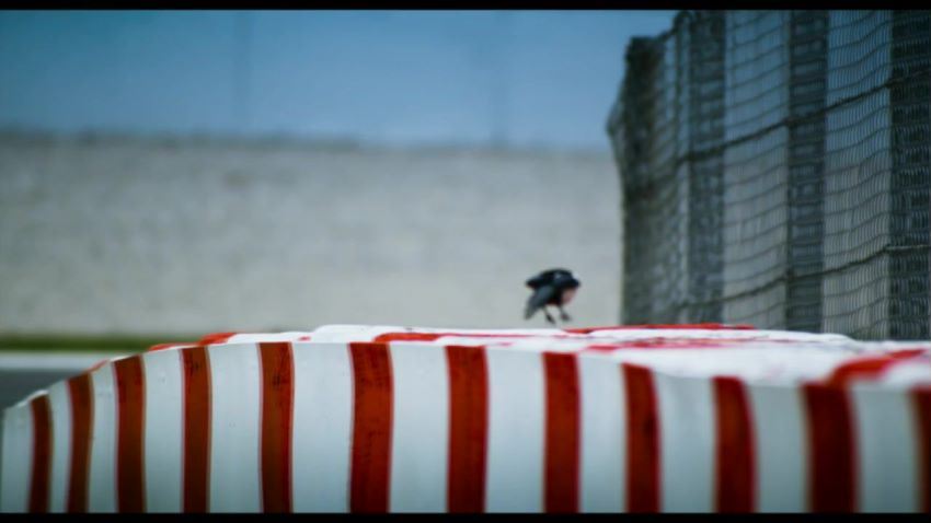 杜比全景声5.1演示碟(658.57M)